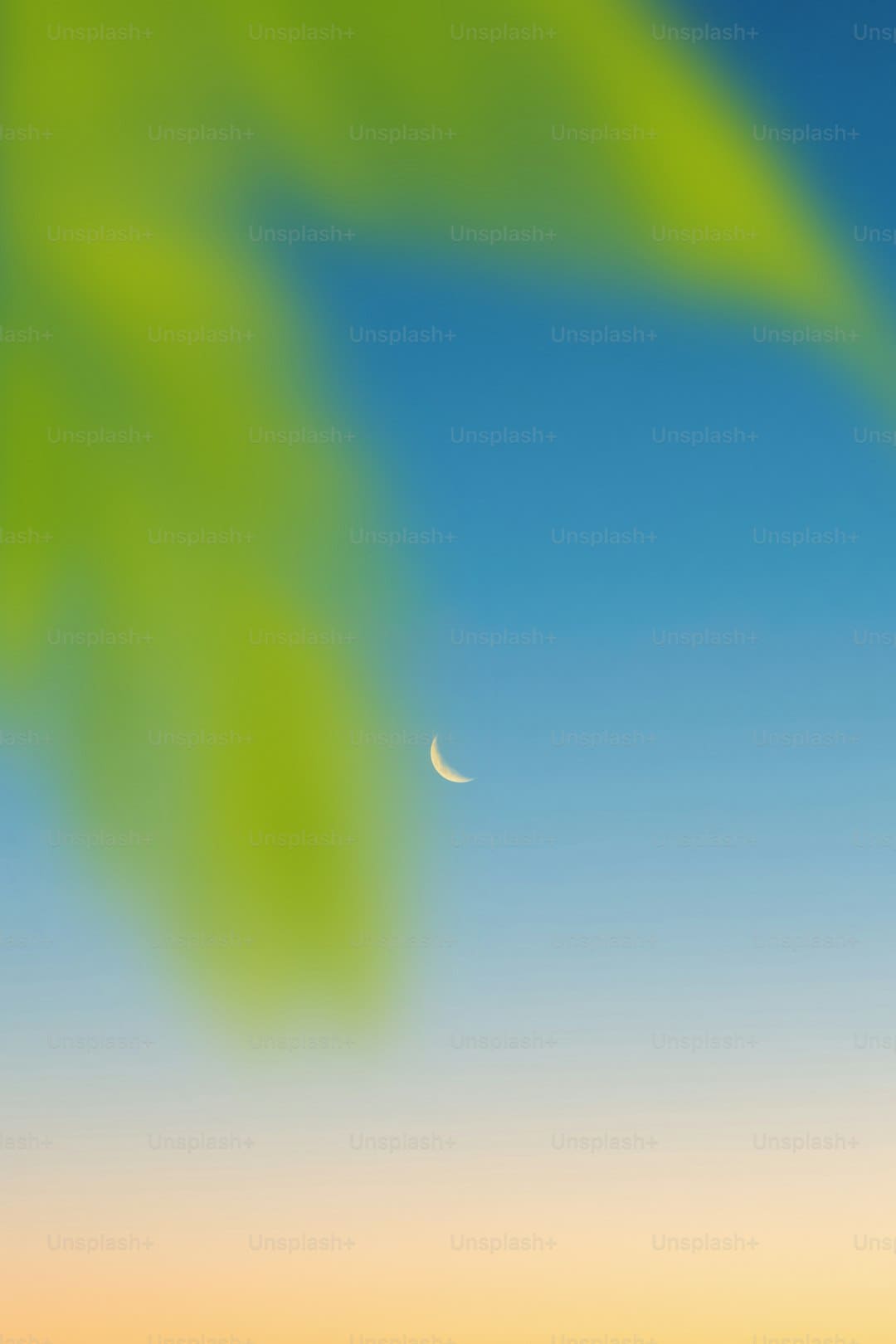 杨洋《俗人修仙传》口碑热度双丰收 豆瓣开分7.5热血逆袭引爆夏天